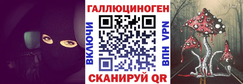 Галлюциногенные грибы Psilocybine cubensis  Соль-Илецк 